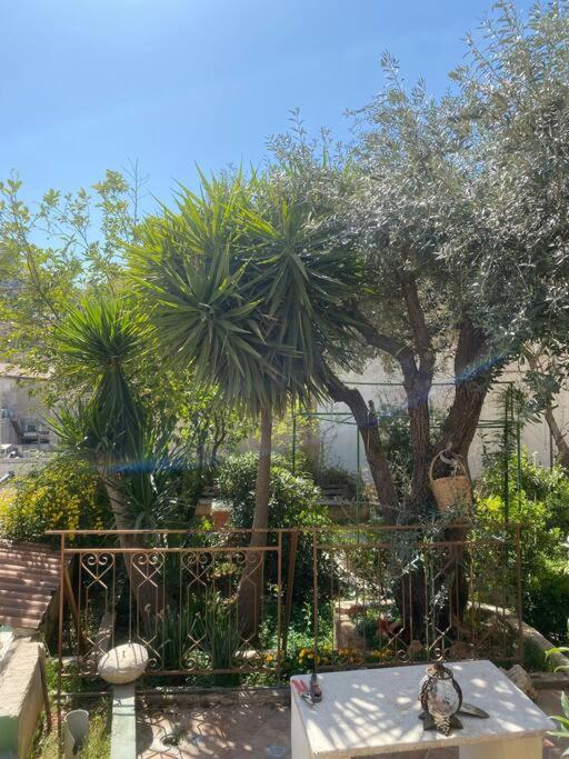 Central House With Beautiful Garden Amman Exterior foto