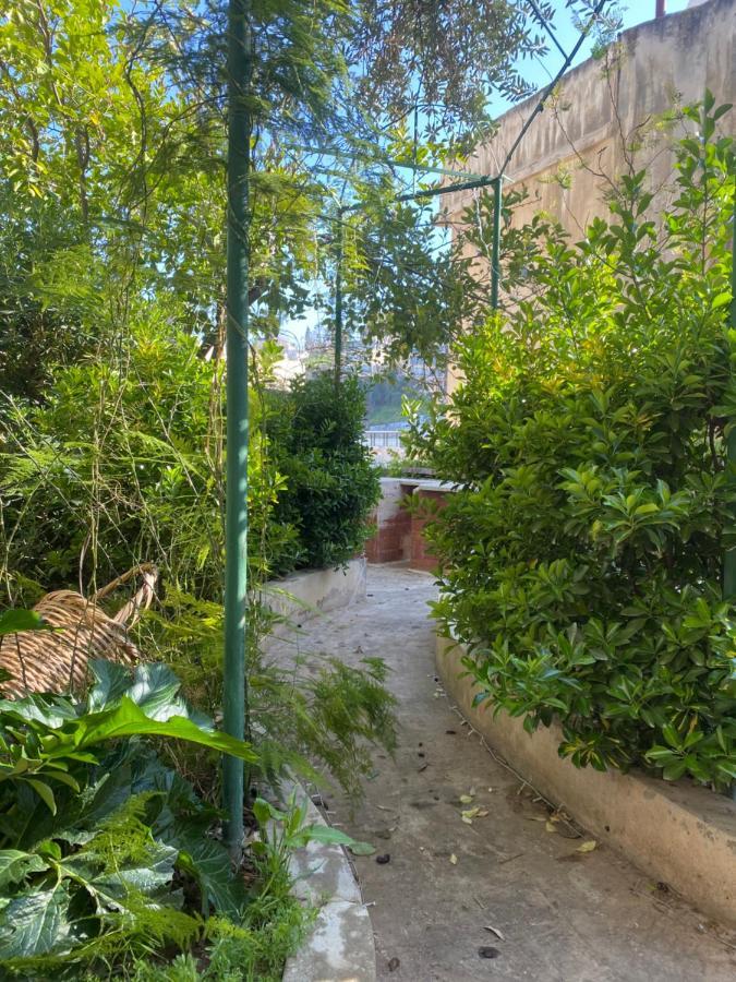 Central House With Beautiful Garden Amman Exterior foto