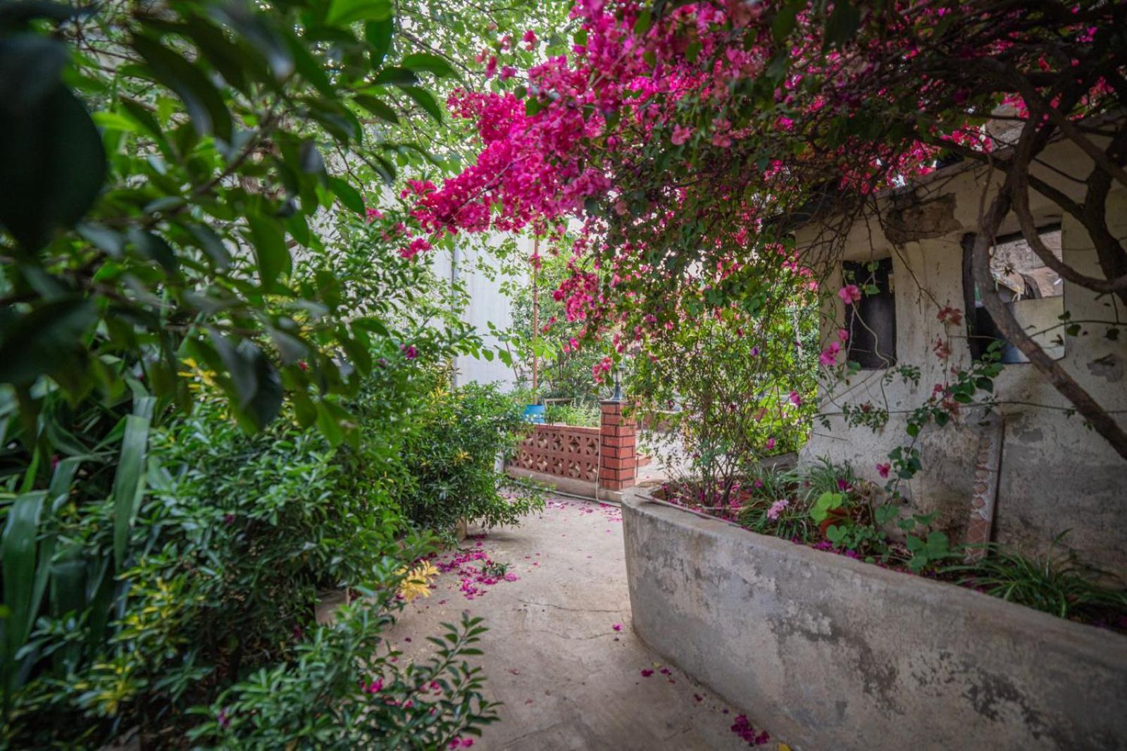 Central House With Beautiful Garden Amman Exterior foto